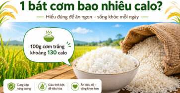 Một bát cơm trắng vừa thường chứa khoảng 200–240 calo, tùy lượng cơm và kích thước bát. 