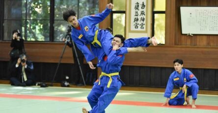 Vovinam – Việt Võ Đạo là môn võ Việt Nam đề cao kỹ thuật tự vệ, tinh thần kỷ luật và giá trị rèn luyện con người. 