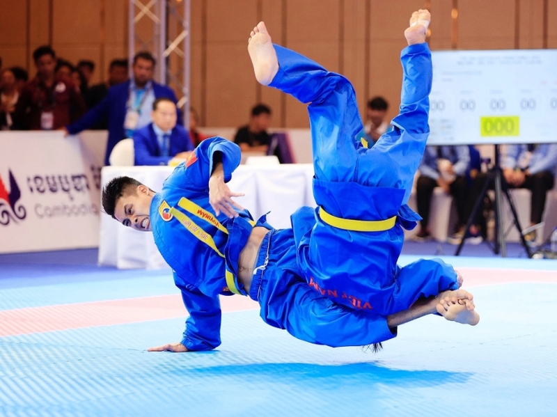 Hệ thống kỹ thuật Vovinam bao gồm đòn tay, đòn chân, phản đòn, khóa gỡ, vật và các bài quyền căn bản.