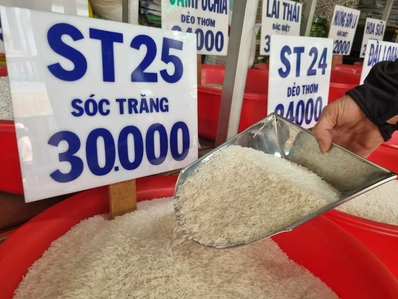Giá gạo ST25 hiện nay có thể thay đổi tùy thương hiệu, nơi bán, quy cách đóng gói và chất lượng sản phẩm.