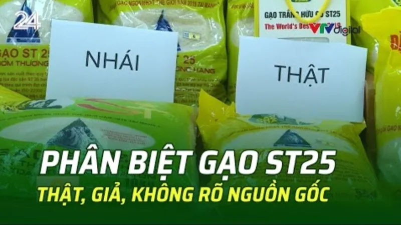 Sự khác biệt về nguồn gốc, độ mới, bao bì, thương hiệu và kênh phân phối khiến giá gạo ST25 không giống nhau.
