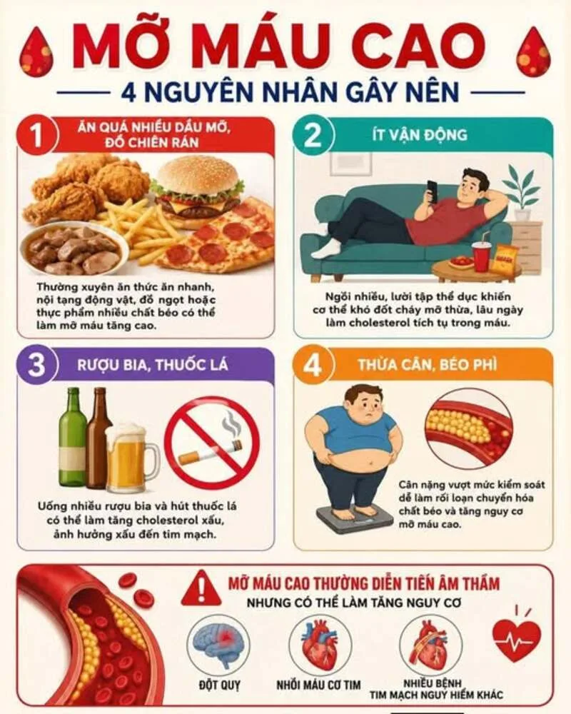 Mỡ máu tăng cao có thể liên quan đến ăn uống, ít vận động, hút thuốc, rượu bia, bệnh nền hoặc yếu tố di truyền.