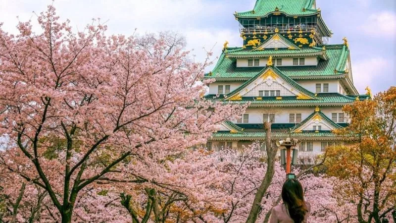 lau dai osaka
